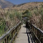 Humedal Laguna Batuco [Humedales Urbanos]