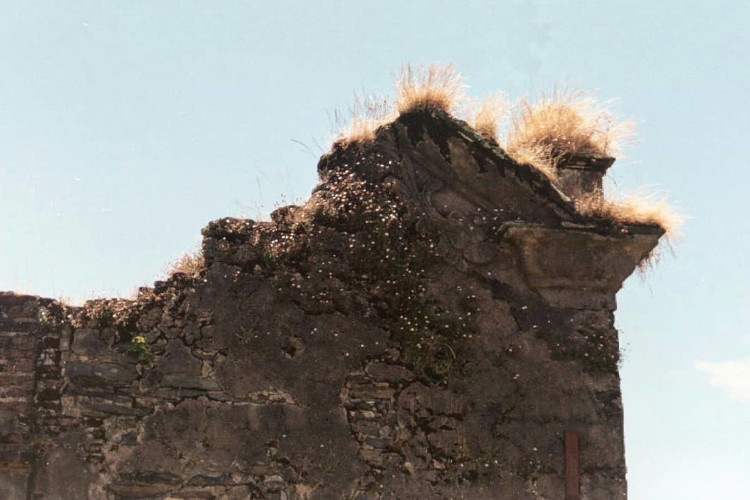 URBEX Castillo de isla Mancera, Corral