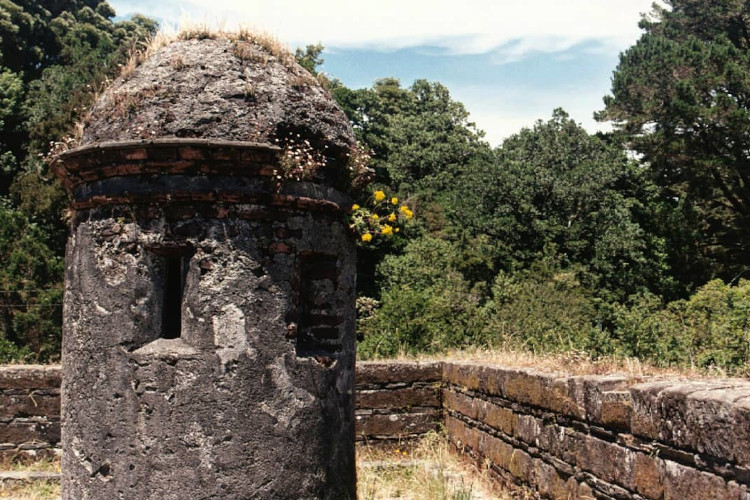 URBEX Castillo de isla Mancera, Corral