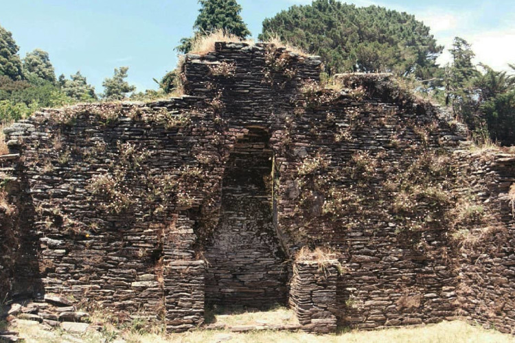 URBEX Castillo de isla Mancera, Corral